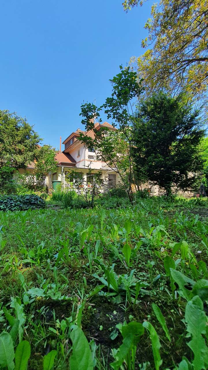 OF-STADTRAND: 4-5 Zi. i. ehem. Herrenhaus einer Kelterei aus 1922 - ca 450 m² Garten
