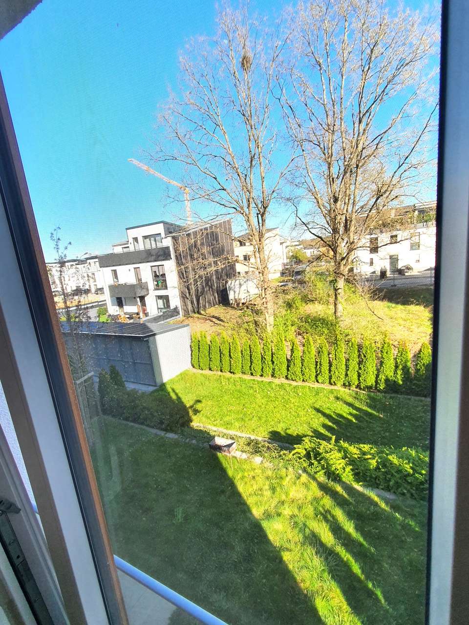 Fensterblick Schlafzi